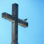 Because God Needs Nothing He Can Give Us Everything - Bird perched on cross - Weekly Blog Post by Dr. Craig Biehl