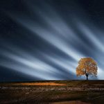 Light and the Age of The Earth: An Example of False Assumptions - Northern lights with planet and autumn tree against stark landscape