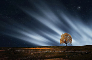 Light and the Age of the Earth: An Example of False Assumptions - Northern lights with planet and autumn tree against stark landscape