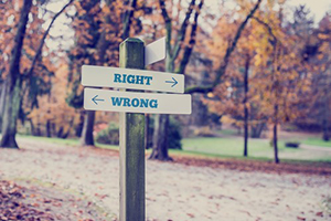 Some Things Are Relative and Some Things Are Not - right and wrong signs on pole fall trees in background