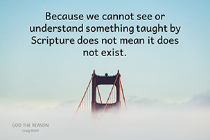 Because we cannot see or understand something taught by Scripture does not mean it does not exist.