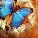 Gleanings from The Religious Affections (Part 22): Distinguishing Sign Seven: Gracious Affections Accompany a Change of Nature - Weekly Blog Post by Dr. Craig Biehl - blue butterfly