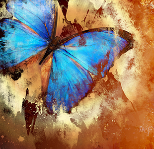 Gleanings from The Religious Affections (Part 22): Distinguishing Sign Seven: Gracious Affections Accompany a Change of Nature - Weekly Blog Post by Dr. Craig Biehl - blue butterfly