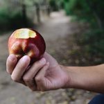 The Human Limitations of Unreasonable Atheism (Part 17): “Doctrinal Disproofs” (Part A) - Weekly Blog Post by Dr. Craig Biehl - man holding apple with bit out